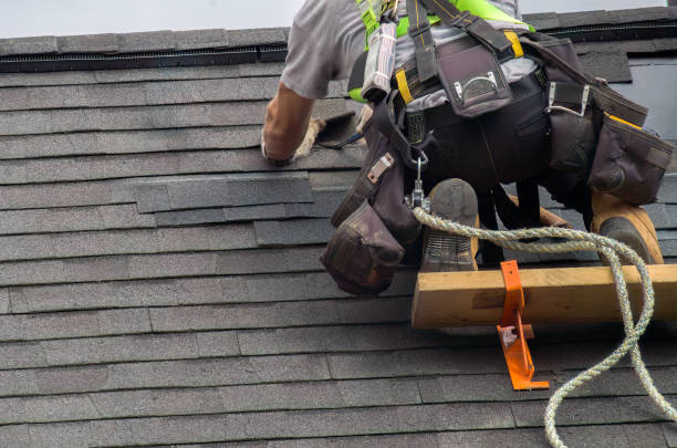Roof Repair Estimates in Eucalyptus Hills, CA